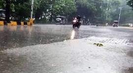बिहार /पश्चमी चम्पारण :- कितने दिनों से खेती को लेकर किसान बहुत परेसान दिख रहे थे ! क्योकि गन्ना का खेती करने के लिए अभी जुताई तथा पटवन के समस्या से झेल रहे किसानो को अभी थोडा राहत मिला है/ हमारे पश्चमी चम्पारण के कुछ इलाके में काफी उस्म जैसा मौसम देखने को मिला है जिससे कुछ गन्ना का खेती पर भी प्रभाव पड़ा है , लेकिन वही आज लगभग आधे दिन से थोडा झिसा बुन्नी देखने को मिला है जिससे किसानो में ख़ुशी उमड़ पड़ी है ! रामनगर के कुछ गावो में बारिश देखने को भी नहीं मिला है , तथा इसी समस्या से जूझ रहे किसानो को अभी बिजली का भी समस्या देखने को मिला है , हमारे रामनगर के विधुत कार्यालय में गुहार लाहा रहे है किसान लोग जिससे की गन्ना में उचित ढंग से सिंचाई कर सके लेकिन नहीं मिल पा रहा है समस्या से निपटारा ! ब्यूरो चीफ बिरेन्द्र कुमार गोंड