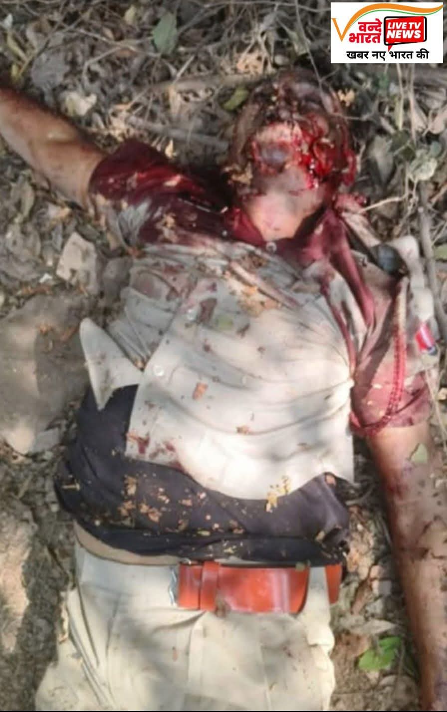 रणथंभौरः जोगी महल गेट के पास टाइगर अटैक के मामले में बड़ा अपडेट जोगी महल पर तैनात फॉरेस्टर देवेंद्र पर टाइगर ने किया अटैक, टाइगर अटैक में फॉरेस्टर देवेंद्र चौधरी की हुई मौत, बताया जा रहा कि वन अधिकारी को मुंह में दबाकर जंगल में ले गया था टाइगर, मृतक फॉरेस्टर के शव को लाया गया जिला अस्पताल, हालांकि विभागीय स्तर पर घटना की नहीं की गई अभी तक पुष्टि