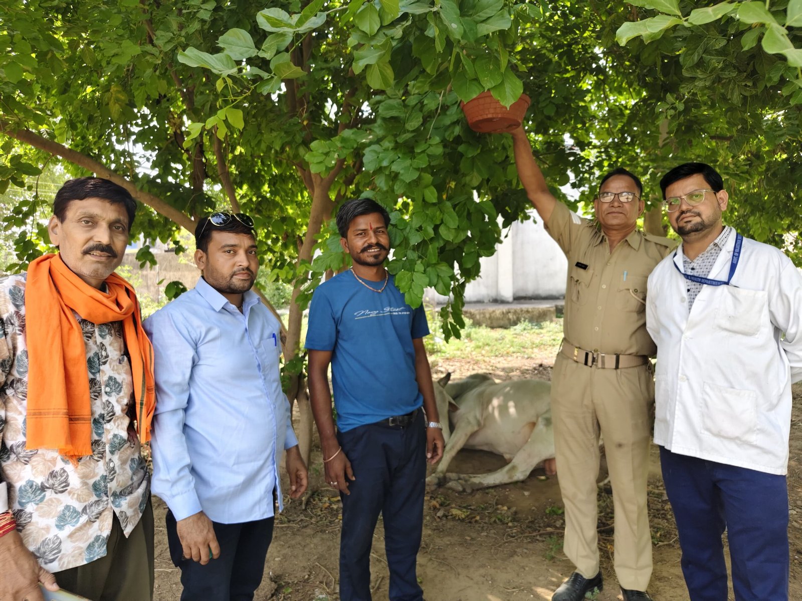 प्रेस नोट
*एक परींडा मेरा भी अभियान के तहत बेजूबानो के लिए परीडें बांधकर किया शुभारंभ*
सवाई माधोपुर | आज मानव सेवा प्रकृति प्रेमी ग्रुप सवाई माधोपुर की ओर से सीनियर नर्सिंग ऑफीसर अशोक मीणा के जन्मदिन एवं पर्यावरण प्रेमी राजेश सैनी की वैजवाहिक वर्षगांठ के अवसर पर एक परिंडा मेरा भी अभियान के तहत बेजुबानो के लिए परिंडे बांधे गए ।
ग्रुप के अध्यक्ष हनुमान सिंह नरूका ने बताया कि इस अवसर पर जिला कारागृह परिसर में पेड़ों पर भीषण गर्मी में परिंदों के लिए मिट्टी से निर्मित परिंडे बांधकर उनमें पानी भरा गया।
ग्रुप के संरक्षक आर्टिस्ट विनोद कुमावत ने बताया कि पक्षियों के लिए प्रतिवर्ष परिंडे बांधे जाते हैं इस बार भी विभिन्न स्थानों पर परिंडे बांधकर उनमें दाना पानी डालने का संकल्प लिया है साथ ही लोगों को भी संदेश दिया कि सभी बेजुबान पशु पक्षियों की सेवा के लिए आगे आए साथ ही इन परिंदों को भी जीवित रखने के लिए अपने आस पास परीडें बांधकर उनमें दाना पानी की व्यवस्था करें और नियमित स्वच्छ जल भरें। ग्रुप के सदस्य अशोक कुमार मीणा सीनियर नर्सिंग ऑफिसर जेल ने बताया कि पर्यावरण के साथ ही मानव जाति के लिए भी इन बेजुबान परिंदों का जिंदा रहना जरूरी है। इससे प्रकृति का संतुलन और पर्यावरण संरक्षण बना रहता है। इस अवसर पर महबूब खानं, व पुलिसकर्मी पर्यावरण प्रेमियों की भागीदारी रही।