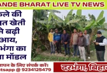 Banana Farming Success Story