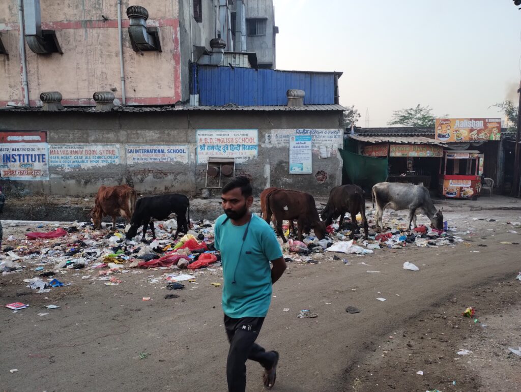 सूरत महानगरपालिका के लापरवाही के कारण आए दिन गौ माता प्लास्टिक खा रहे हैं इनको शासन प्रशासन कोई देखने वाला नहीं है जिसके कारण भारी मात्रा में गौ माता बीमार होती हैं उनका पेट में जो है प्लास्टिक चला जाता है जिसके कारण स्वास्थ्य खराब हो जाता है सूरत महानगर पालिका से रिक्वेस्ट है कि यहां पर एक कचरा का डिब्बा रखवाया जाए ताकि गौ माता की जिंदगी या बताया जा सके