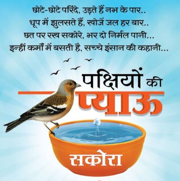 गर्मी में पक्षियों की प्यास बुझाने घरों, संस्थाओं, कार्यालय में रखे सकोरे 12 IMG 20260322 085225