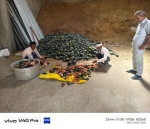 IMG 20260527 WA0015
