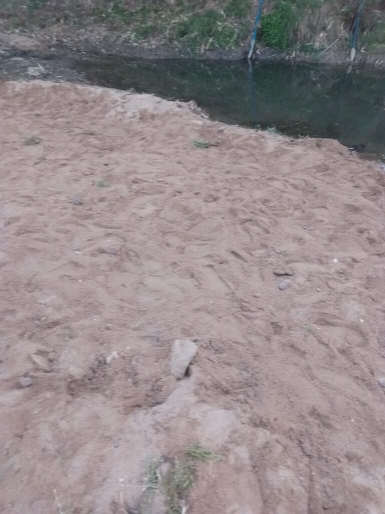खरौंधी थाना क्षेत्र में बालू माफिया बेलगाम: अरंगी और तोरेलावा पंडा नदी घाट से रात भर हो रहा अवैध खनन 4 IMG 20260531 WA0004