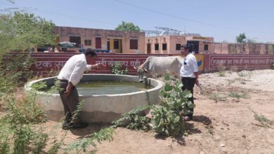 एसडीएम लूणी का पेयजल सप्लाई को लेकर क्षेत्र में सघन निरीक्षण 11 WhatsApp Image 2026 05 20 at 14.49.16 1