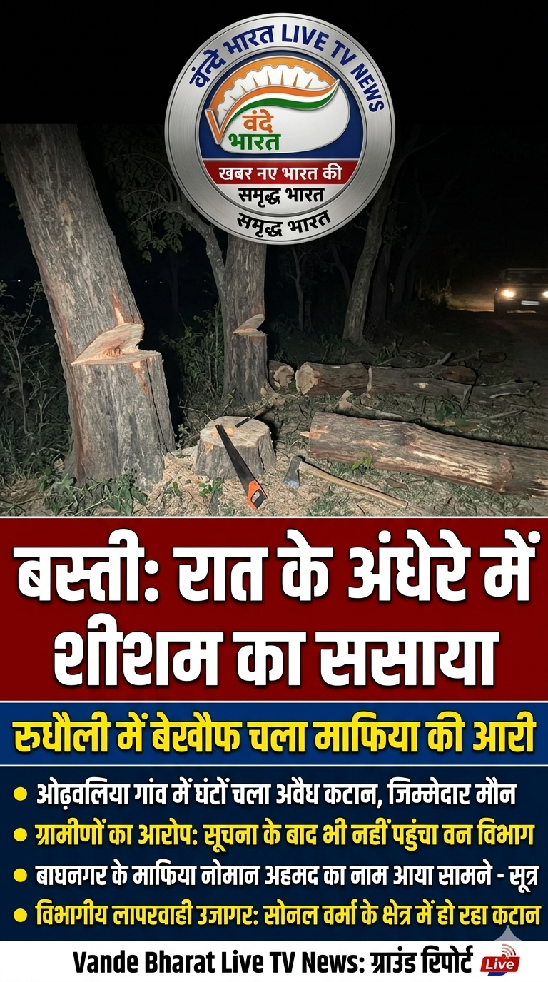 बस्ती में वन माफिया का तांडव: रुधौली में रात के अंधेरे में साफ किए गए शीशम के पेड़, विभाग मौन।