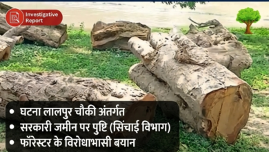 सिद्धार्थनगर में 'सरकारी पेड़' पर 'अवैध आरा': जांच की धीमी चाल और अधिकारियों की संदिग्ध भूमिका! 12 1782145385788