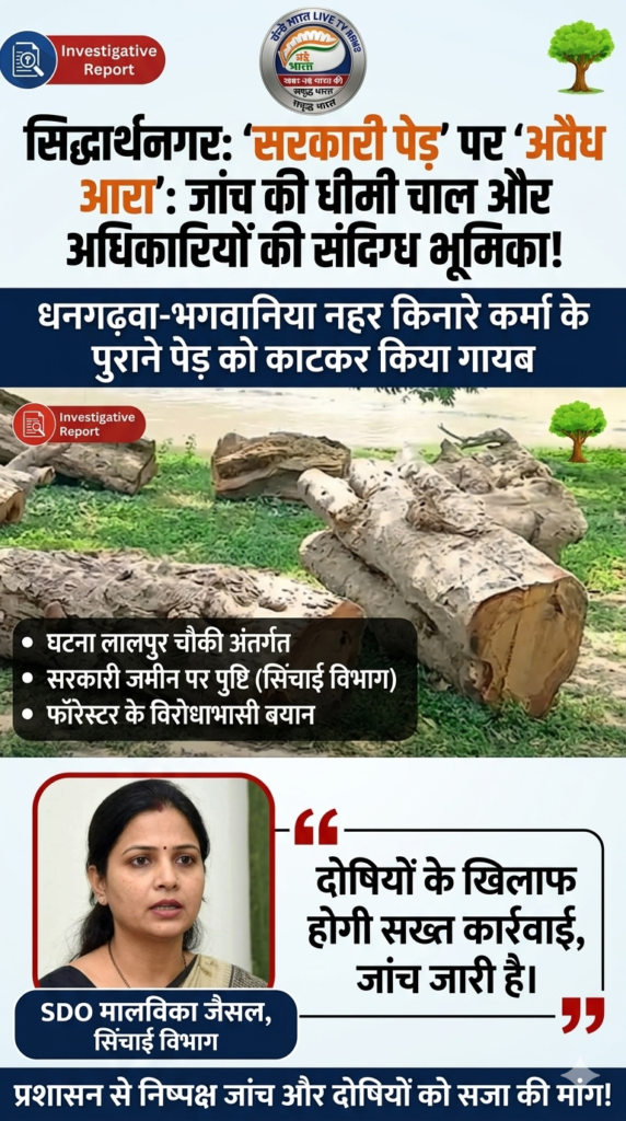 सिद्धार्थनगर में 'सरकारी पेड़' पर 'अवैध आरा': जांच की धीमी चाल और अधिकारियों की संदिग्ध भूमिका! 1 1782145385788