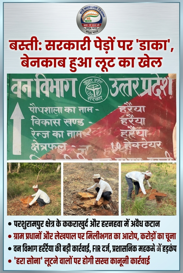 बस्ती में सरकारी पेड़ों की लूट का ‘महाखेल’: दो प्रधान और लेखपाल पर गिरा गाज!