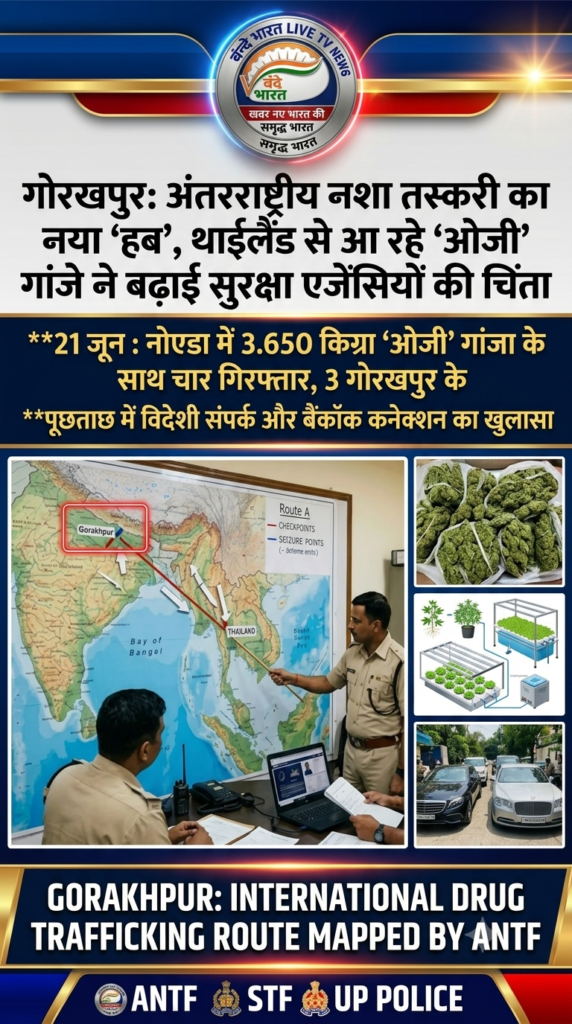 गोरखपुर: अंतरराष्ट्रीय नशा तस्करी का नया 'हब', थाईलैंड से आ रहे 'ओजी' गांजे ने बढ़ाई एजेंसियों की चिंता 1 1782457899820