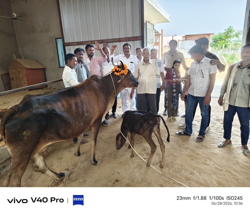 मकराना की युवा हिन्दू गौ रक्षा सेवा समिति ने पूरे किए 11 गौरवशाली वर्ष, 7000 से अधिक गौवंश एवं पक्षियों का उपचार कर गौसेवा के नए आयाम स्थापित 1 IMG 20260628 WA0033