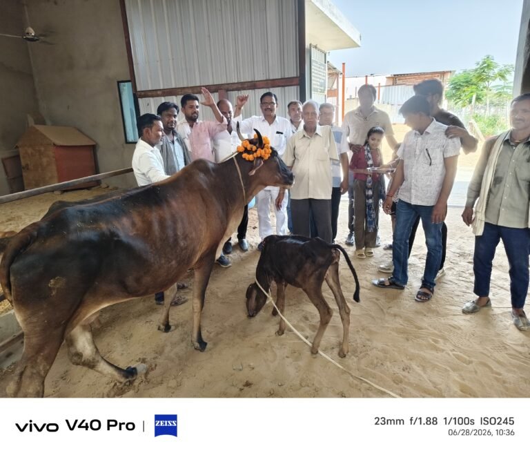मकराना की युवा हिन्दू गौ रक्षा सेवा समिति ने पूरे किए 11 गौरवशाली वर्ष, 7000 से अधिक गौवंश एवं पक्षियों का उपचार कर गौसेवा के नए आयाम स्थापित