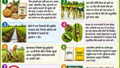 31 जुलाई तक करें आवेदन, डॉ. खूबचंद बघेल कृषक रत्न पुरस्कार 2026 के लिए आमंत्रित किए गए आवेदन 17 02 कृषक रत्न पुरस्कार