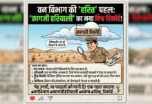 वन विभाग में 'ईमानदारी' की कीमत 50 फीसदी कमीशन: क्या यही है सरकारी विकास का सच? 103 1783223701313