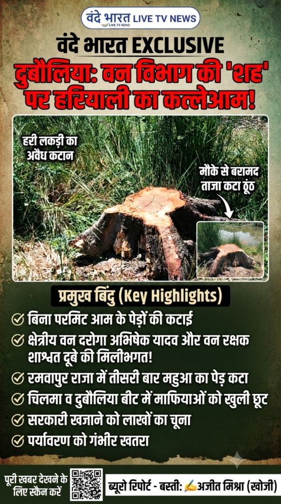 बस्ती: वन विभाग की 'शह' पर कट रही हरियाली, रमवापुर में माफियाओं को खुली छूट 1 1783232504509