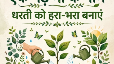 बस्ती: नगर बाजार-कप्तानगंज मार्ग का होगा कायाकल्प, 41.39 करोड़ की लागत से संवरेगी 9.6 किमी सड़क 24 1783779637840