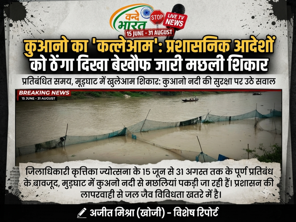 कुआनो का 'कत्लेआम': प्रशासनिक आदेशों को ठेंगा दिखा बेखौफ जारी मछली शिकार 1 1784523160838
