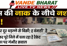 सिद्धार्थनगर में 'खाकी' के साये में पनप रहा नशे का कारोबार, थाने से 300 मीटर दूर खुलेआम बिक रहा गांजा! 26 1784525496246