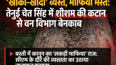 सीएम के दौरे में व्यस्त प्रशासन, वन विभाग की शह पर रातों-रात कट गए आधा दर्जन शीशम 18 742903675 1587187632823257 2952855147829114097 n