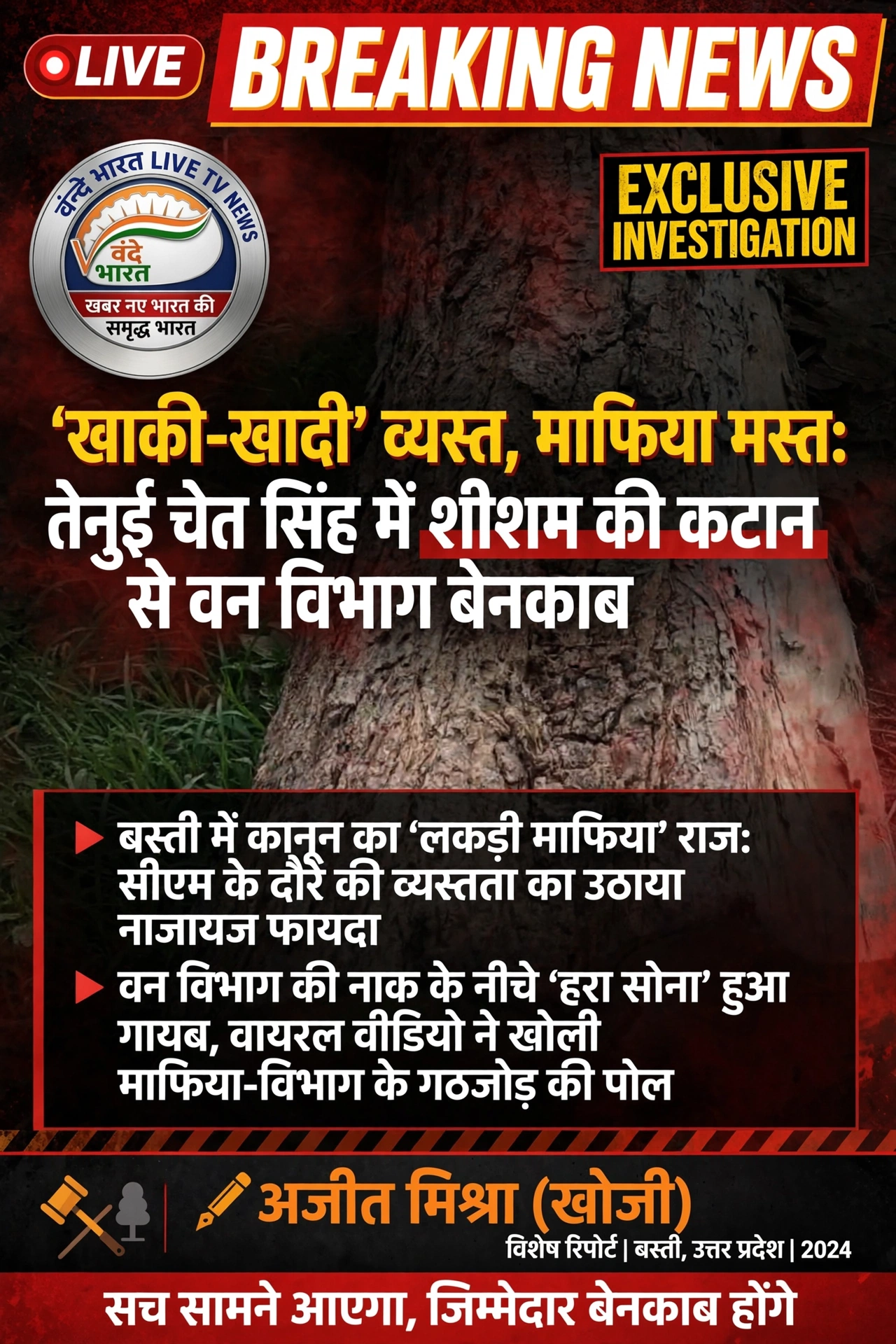 सीएम के दौरे में व्यस्त प्रशासन, वन विभाग की शह पर रातों-रात कट गए आधा दर्जन शीशम 11 742903675 1587187632823257 2952855147829114097 n