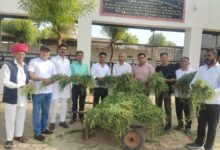 गौमात को चारा-गुड़ खिलाकर मनाया भाजपा प्रदेशाध्यक्ष का जन्मदिनः पक्षियों के लिए डाला दान, की भाजपा प्रदेशाध्यक्ष के उत्तम स्वास्थ्य की कामना 94 IMG 20260702 WA0089