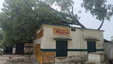 विद्यालय की छत पर गिरा महुआ का विशालकाय पेड़ 27 IMG 20260711 WA0068