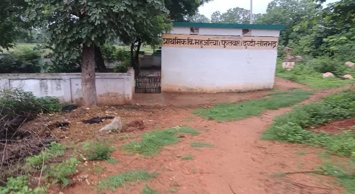 विद्यालय तक जाने वाला रास्ता बना मुसीबत, ग्रामीणों की बढ़ी परेशानी 1 IMG 20260722 WA0025