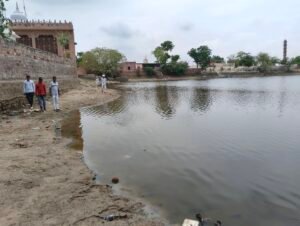 छोटी ढाबर में तालाब में दूषित पानी होने से मर रही है मछलियां व पशुधन को बीमारी का खतरा। 2 IMG20260724134633