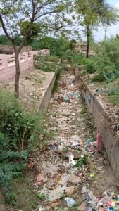 छोटी ढाबर में तालाब में दूषित पानी होने से मर रही है मछलियां व पशुधन को बीमारी का खतरा। 3 IMG20260724135108 01