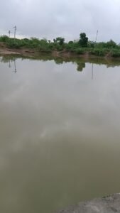 खारड़ा बांध में पानी की आवक जारी लेकिन पानी के साथ रंगीन पानी बांध में आ रहा है। 7 IMG20260725073227 01