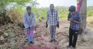 राष्ट्रीय पक्षी मोर को स्वानो ने मारा ग्राम वासियों ने विधिवत रूप से किया दाह संस्कार। 2 IMG 20260701 201550