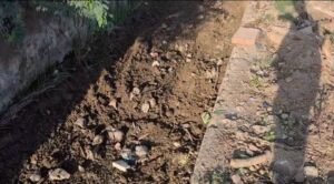 ग्राम पंचायत ढाबर में सरपंच के नेतृत्व में 1 किलोमीटर बड़े नाले की सफाई का कार्य जोरों पर। 4 IMG 20260731 214530