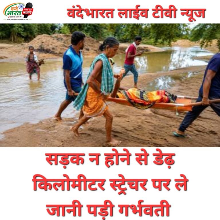 सड़क न होने से डेढ़ किलोमीटर स्ट्रेचर पर ले जानी पड़ी गर्भवती