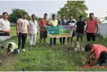 बारां: 'एक पेड़ मां के नाम' अभियान के तहत मंदिर परिसर में किया गया सघन वृक्षारोपण 27 Screenshot 2026 07 18 16 54 02 73 c0d35d5c8ea536686f7fb1c9f2f8f274