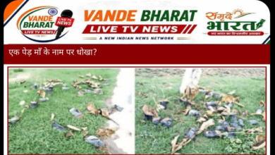 वन विभाग की बड़ी लापरवाही: पौधरोपण अभियान के तहत नर्सरी से मंगाए गए पौधे सड़क किनारे फेंके मिले और वे सूख चुके हैं। 9 Screenshot 2026 0730 140207