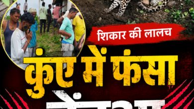 धमतरी /सूखे कुंआ में गिरा तेंदुआ, शिकार की तलाश करते गांव तक पहुंचा, वन विभाग की टीम मौके पर, 55 file 00000000785071f5bd6fd5dcd18b5056