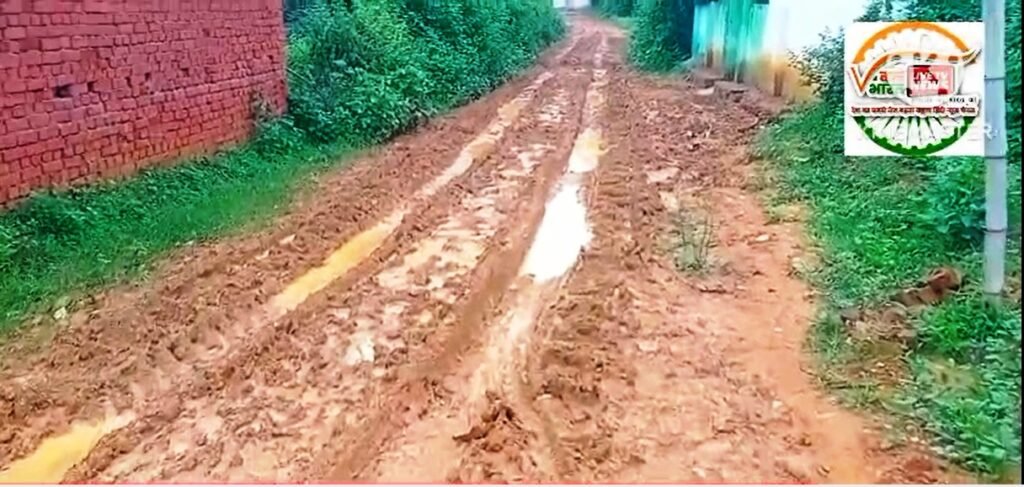 कुरुडीह Breaking New …… मुक्तिधाम जाने वाली गलियों में कीचड़ का साम्राज्य, ग्रामीणों का चलना मुश्किल, हालत खराब........... 1 11111
