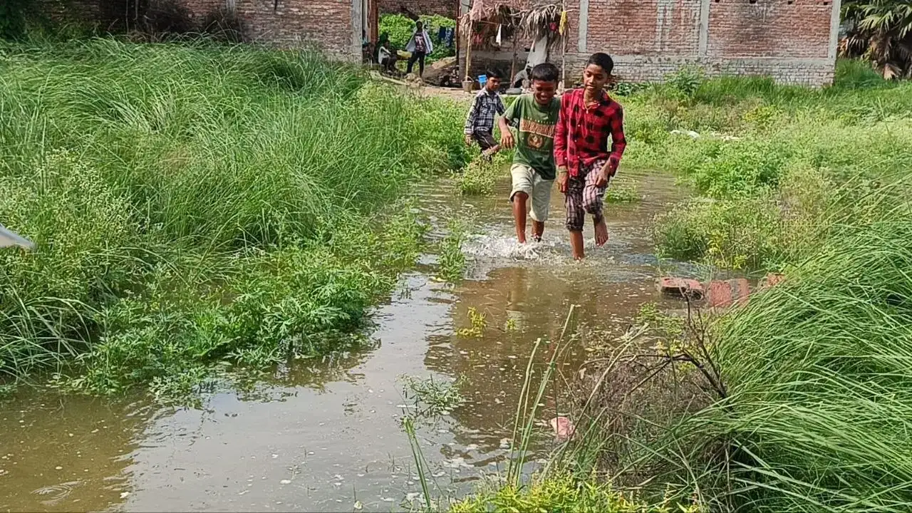 जिले के सलारपुर गांव में नदियों के बढ़ते जलस्तर ने तबाही मचानी शुरू कर दी है। गांव में लगातार घुस रहे बाढ़ के पानी के कारण हालात बेकाबू होते जा रहे हैं, जिससे दर्जनों परिवारों को अपना घर-बार छोड़कर सुरक्षित ठिकानों की ओर जाना पड़ रहा है। 1 134902268b668e069c6ecb47bc42f101312349d711fa0613fe1eb3fd276449f9.0