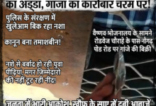 सिद्धार्थनगर: बांसी थाना क्षेत्र बना नशे का अड्डा, गांजा का कारोबार चरम पर! 26 1786174262478