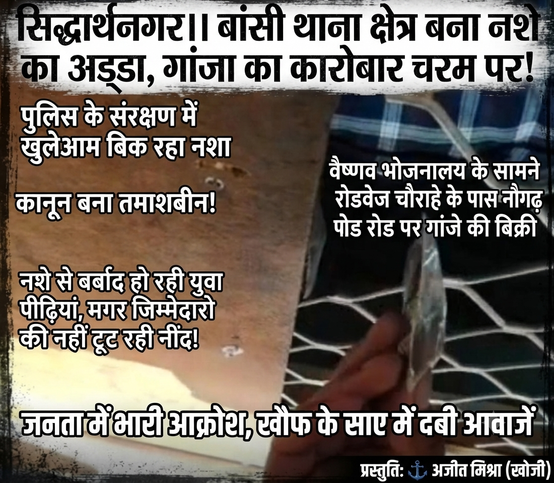 सिद्धार्थनगर: बांसी थाना क्षेत्र बना नशे का अड्डा, गांजा का कारोबार चरम पर! 1 1786174262478