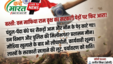 बस्ती: पन्डूल-पेंदा बंधे पर सरकारी पेड़ों की अंधाधुंध कटान जारी, वन माफिया राम वृक्ष के हौसले बुलंद 35 1786249963917