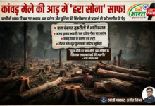 कांवड़ मेले की आड़ में 'हरा सोना' साफ: बस्ती के सुकरौली में वन दरोगा और पुलिस की मिलीभगत से धड़ल्ले से कटे सागौन के पेड़ 30 1786459963629