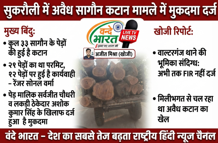 बस्ती: सुकरौली में सागौन के अवैध कटान पर एक्शन, भूस्वामी और ठेकेदार पर मुकदमा दर्ज; 12 पेड़ निकले अवैध