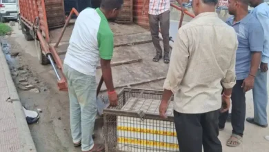 वाराणसी: सावन में मीट बिक्री पर नगर निगम सख्त, अवलेशपुर में जेसीबी से ध्वस्त की गईं 12 दुकानें वाराणसी: सावन में मांस-मछली की बिक्री पर एक्शन, अवलेशपुर में नगर निगम ने 12 दुकानें कीं ध्वस्त 16 1d2eac915e4ce4edfb705e97f349d4f54ea5a7877bed37ca5165b695871647cd.0