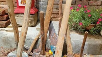 हरियाली का प्रतीक है छत्तीसगढ़ का पहला हरेली तिहार.... प्रदेश के किसान इसे धूमधाम से मनाते हैं....... 10 88888