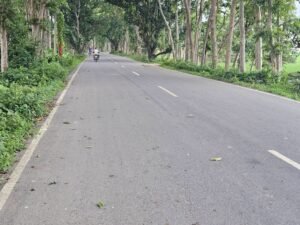 सिद्धार्थनगर के दो प्रमुख स्टेट हाईवे शासन को भेजी गई 3 FB IMG 1785851865089