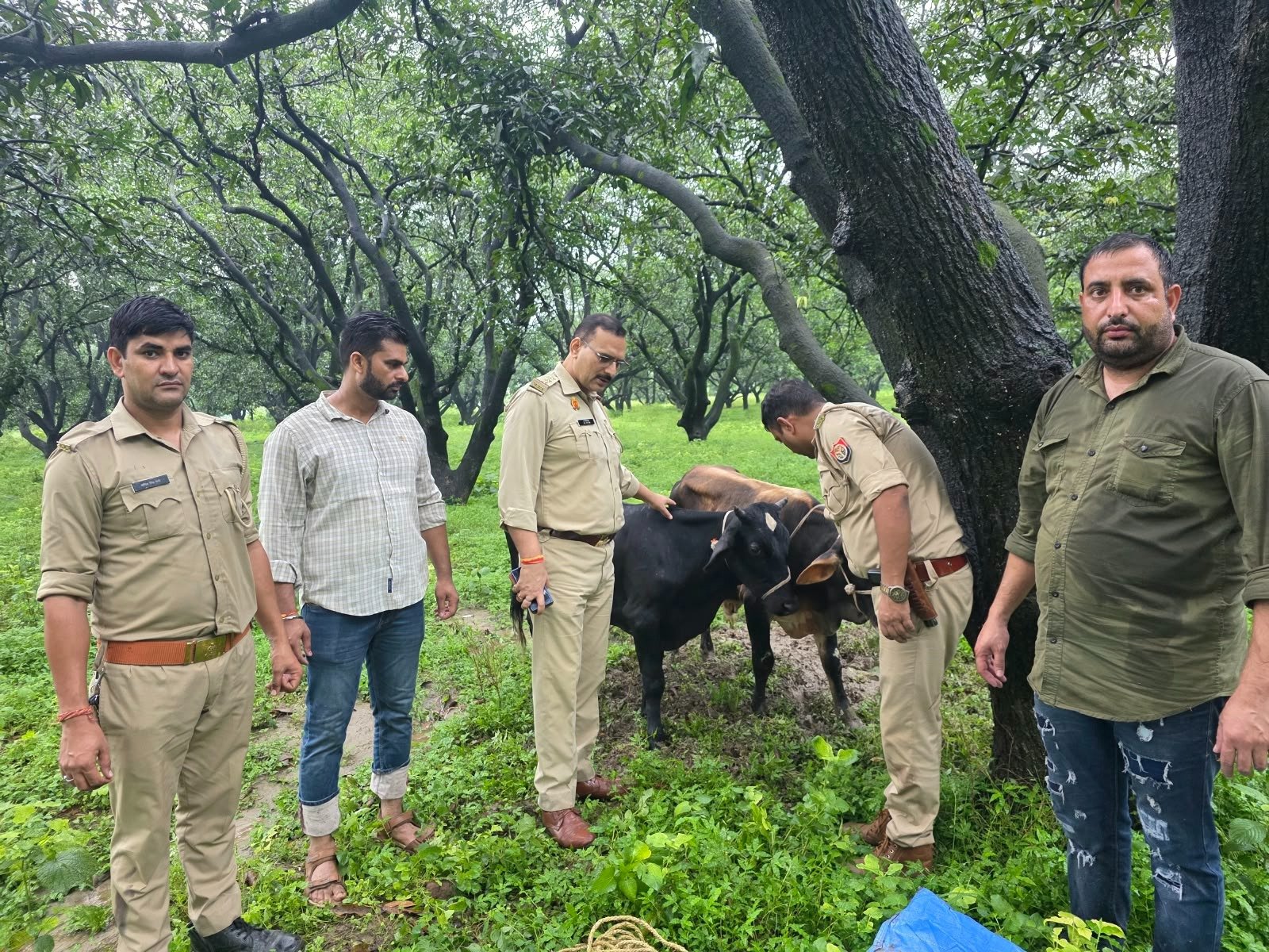 बड़ी खबर | सहारनपुर में गोकशी के प्रयास पर पुलिस का बड़ा एक्शन, दो अलग-अलग मुठभेड़ों में 4 कथित गौकश गिरफ्तार 5 IMG 20260818 WA1012