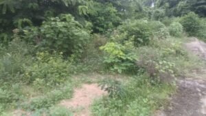 IMG 20260825 WA0017