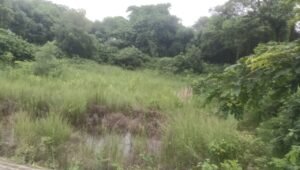 IMG 20260825 WA0018