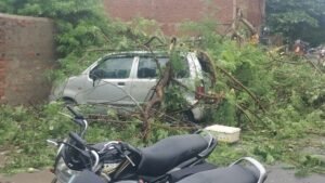 गोला गोकर्ण नाथ नगर के मिल डायवर्सन रोड निकट नई मिल कॉलोनी पर हुई मूसलाधार बारिश में सहजन और गोल्डमोहर के वर्षों पुराने पेड़ हुए धाराशाई। 3 IMG 20260816 090038597